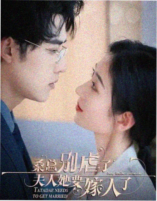 凤鸣宫阙古言宫斗小说完结