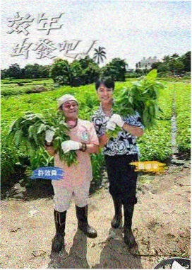 我在民国当厨神民国美食小说